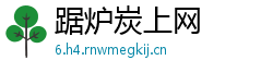 踞炉炭上网